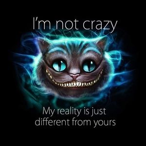 Meet your Posher, Tom